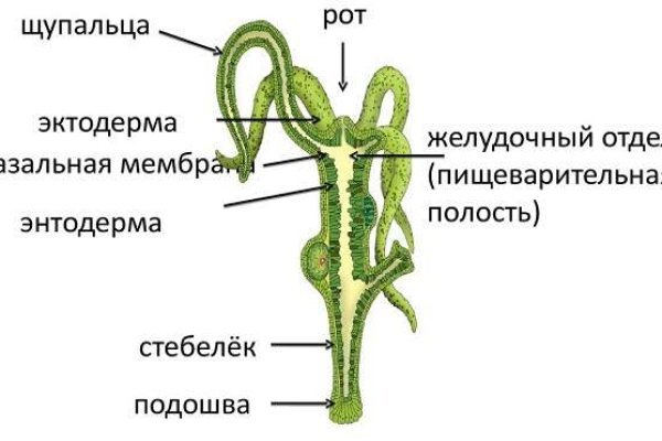 Кракен сайт ссылка настоящая kraken11